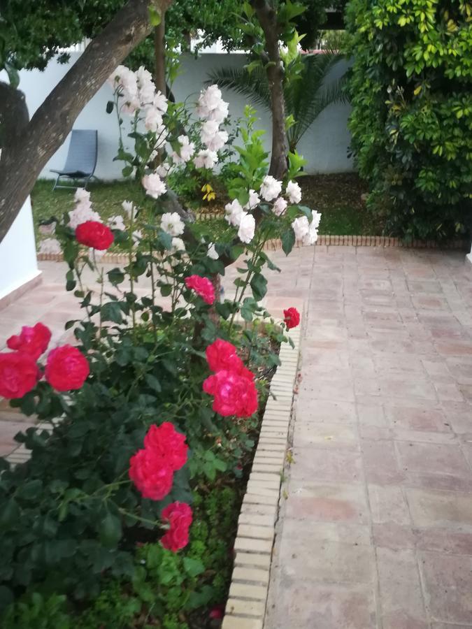 Frasquita