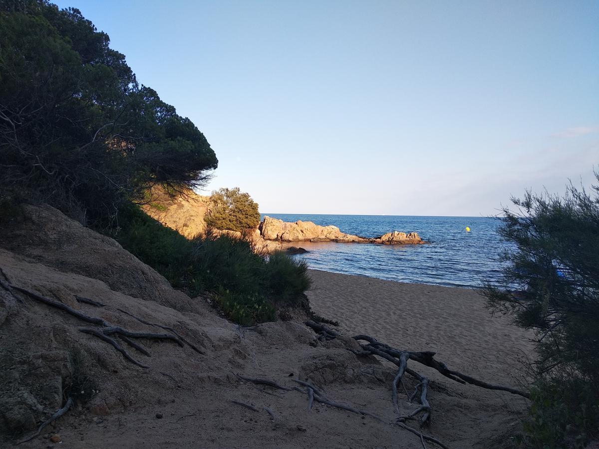 Cocollona Hostal