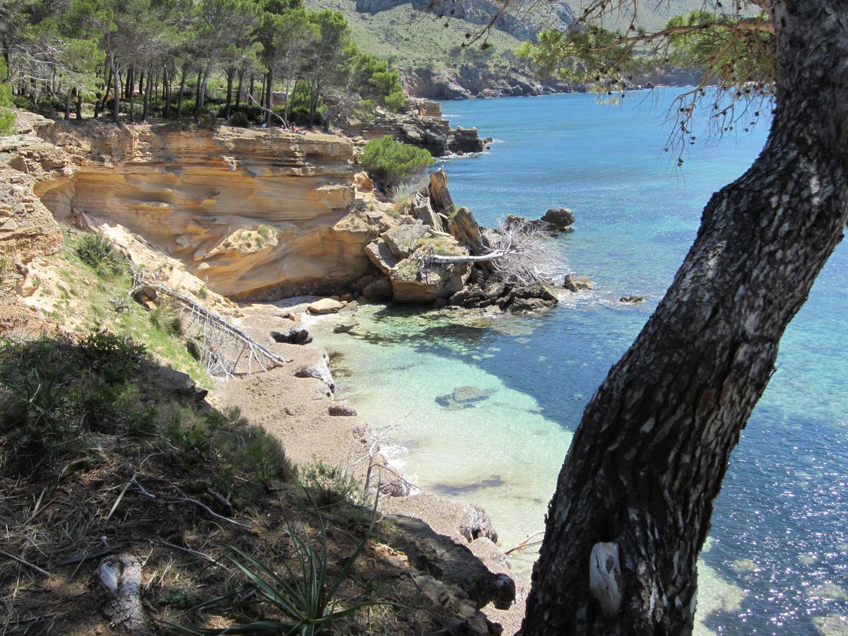 Farm stay Agroturisme S' Horta *