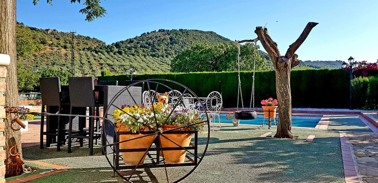Casa Rural Los Naranjos Piscina Y Pista Tenis Privada Holiday home *