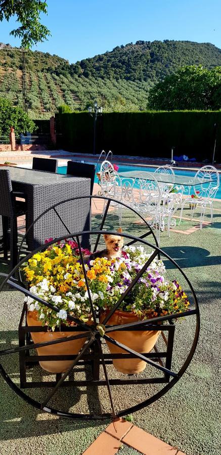 Holiday home Casa Rural Los Naranjos Piscina Y Pista Tenis Privada