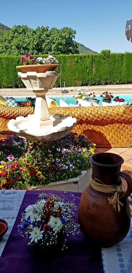 Casa Rural Los Naranjos Piscina Y Pista Tenis Privada