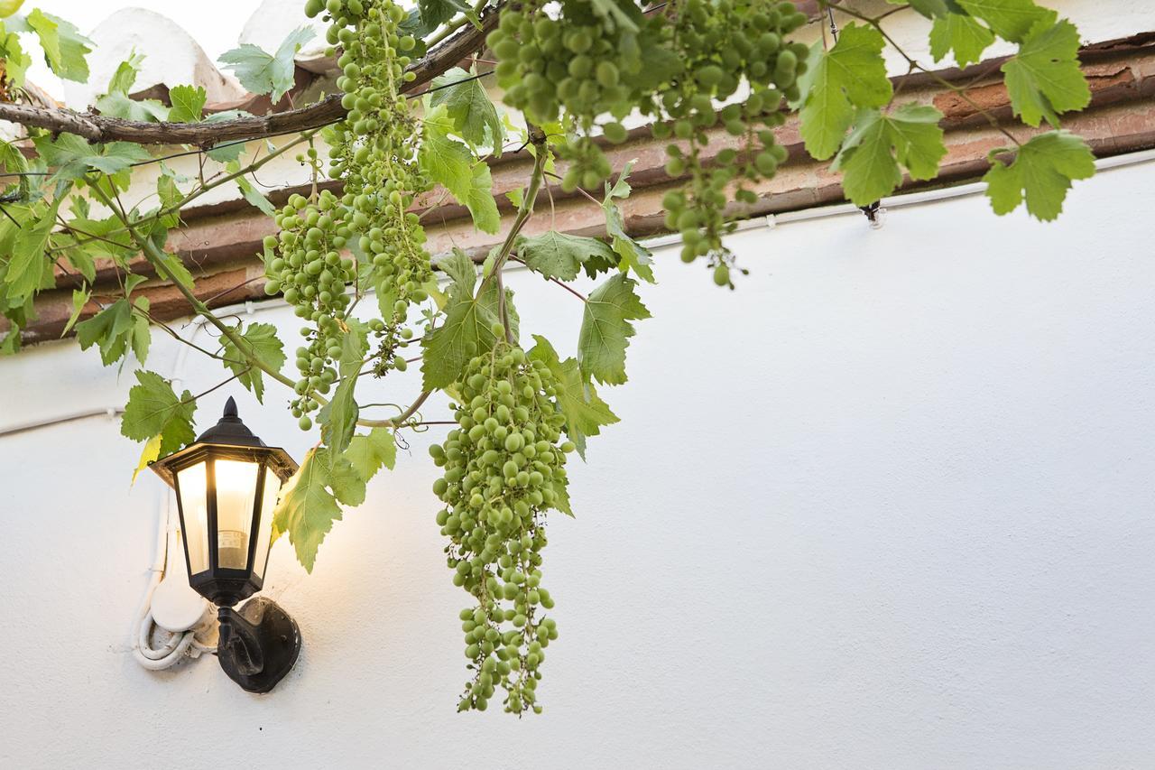 Cortijo Del Arte - Caminito Del Rey Pizarra