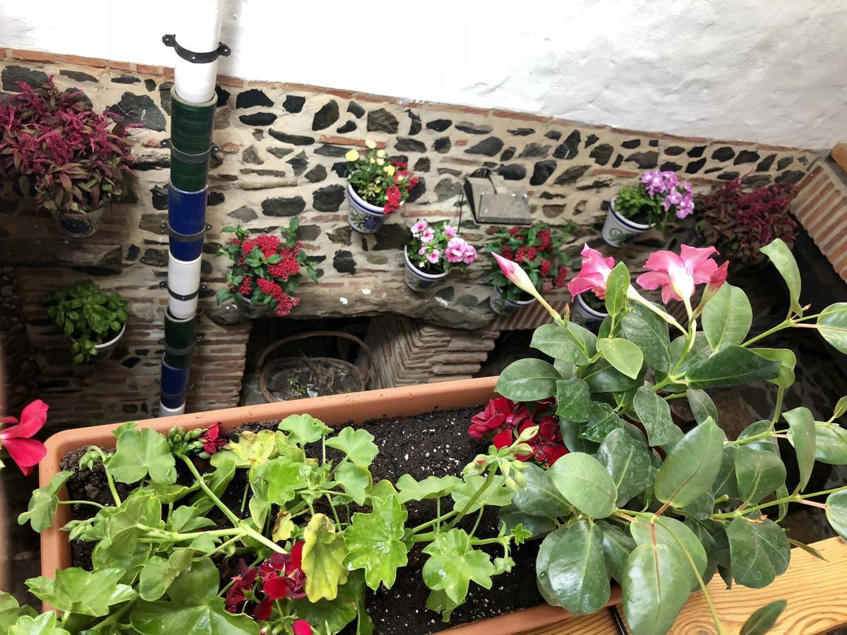 Hotel Del Bandolero Borge