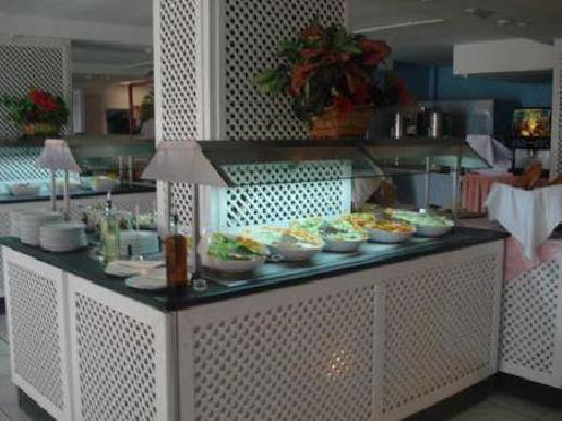 Palm Garden Apartamento