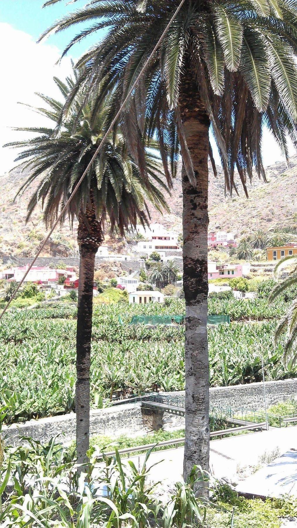 Llano Campo Casa rural Hermigua