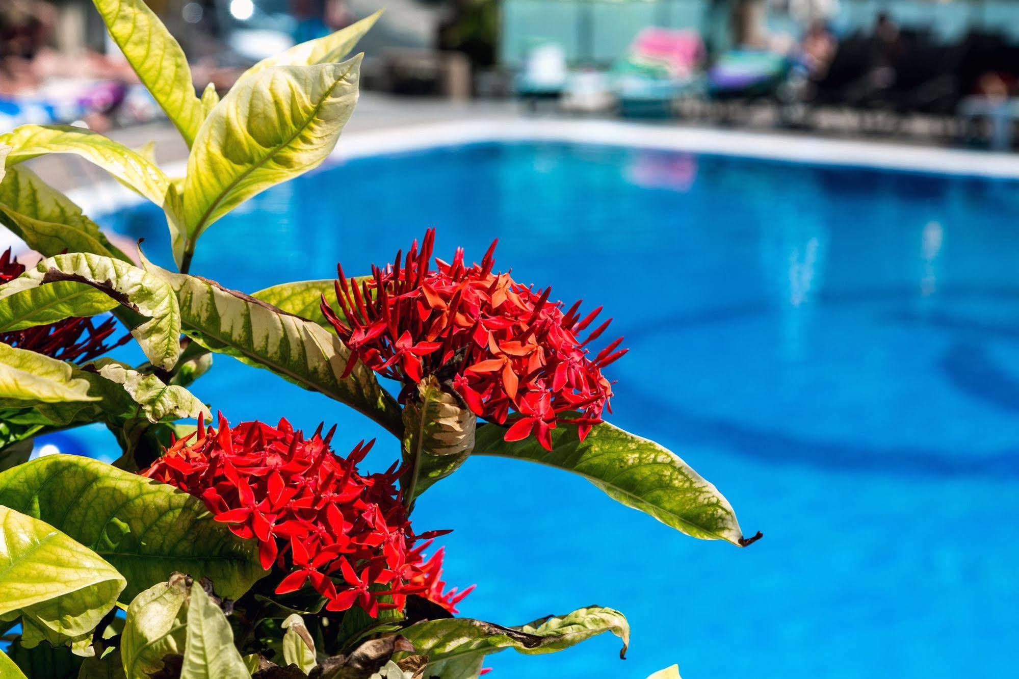 Bahia Blanca Aparthotel 3*