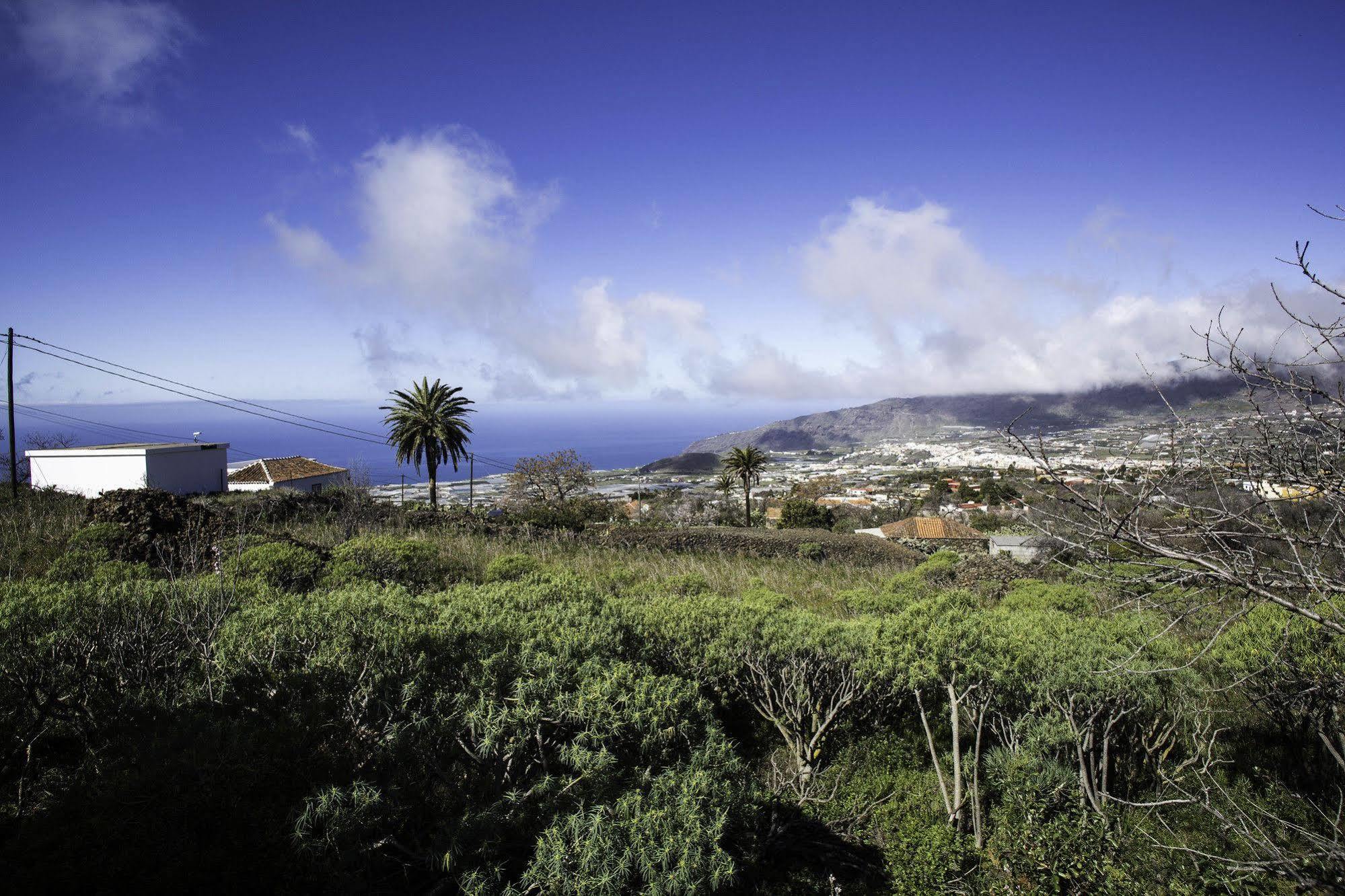 Guanches *