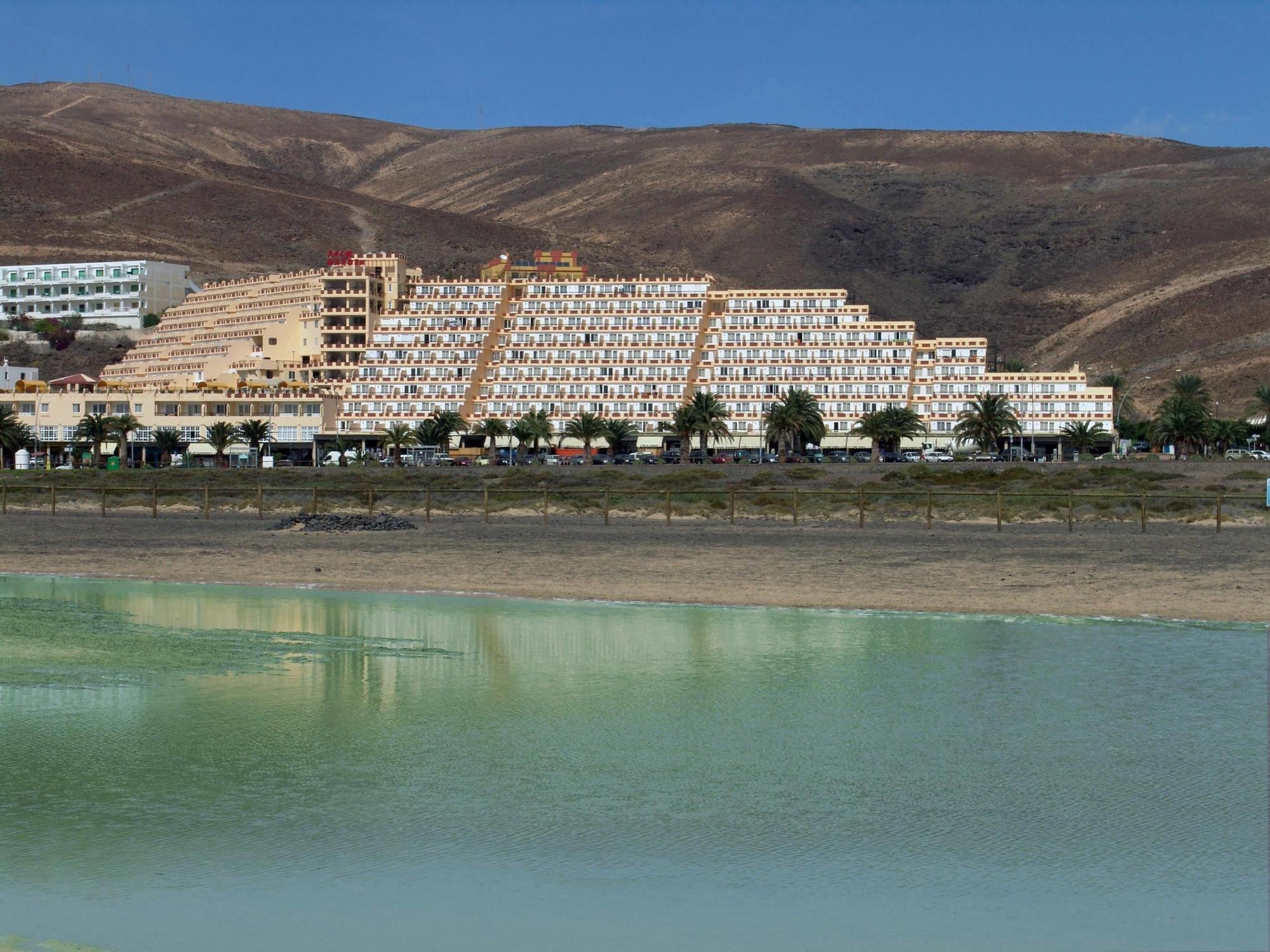 Apartamento Palm Garden Morro Jable (Fuerteventura)