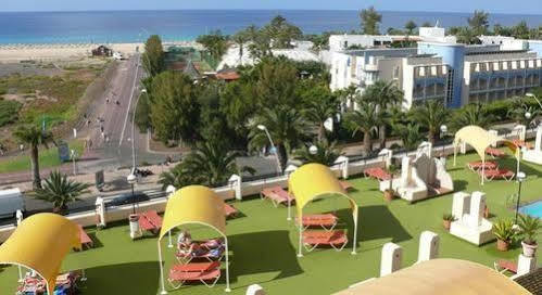 Palm Garden Apartamento *