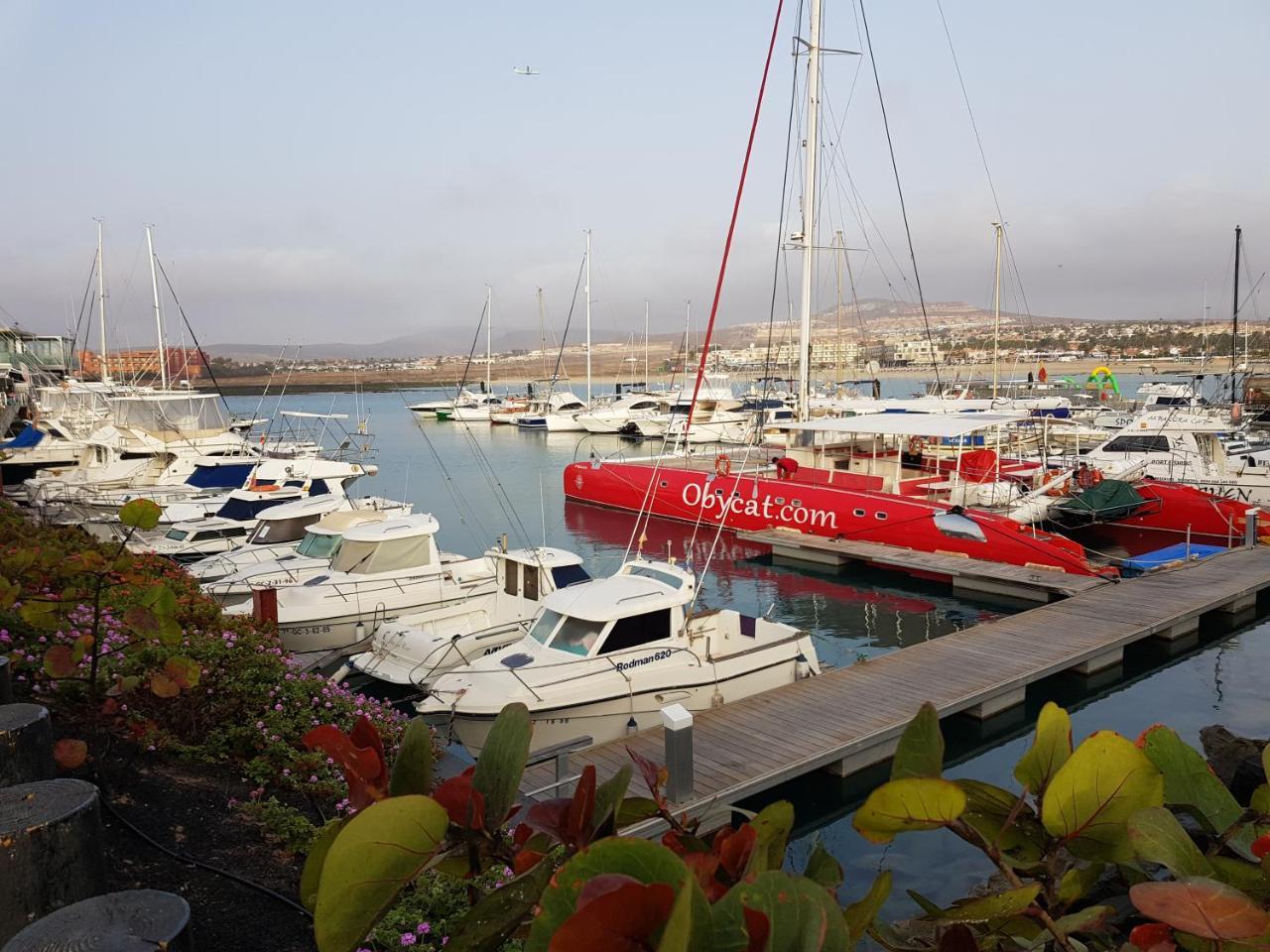 Apartamento Caleta Amigos 6b *