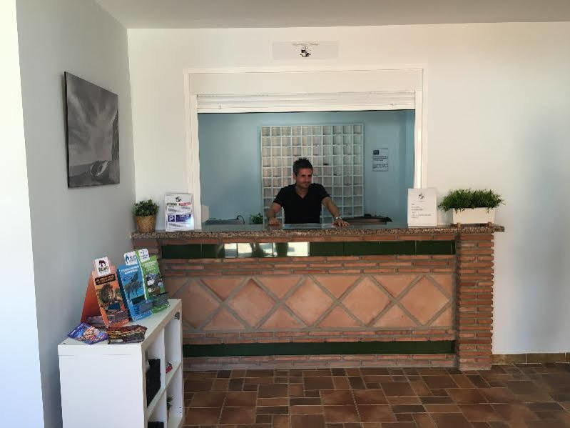 Apartamento Royal Marbella Benahavís
