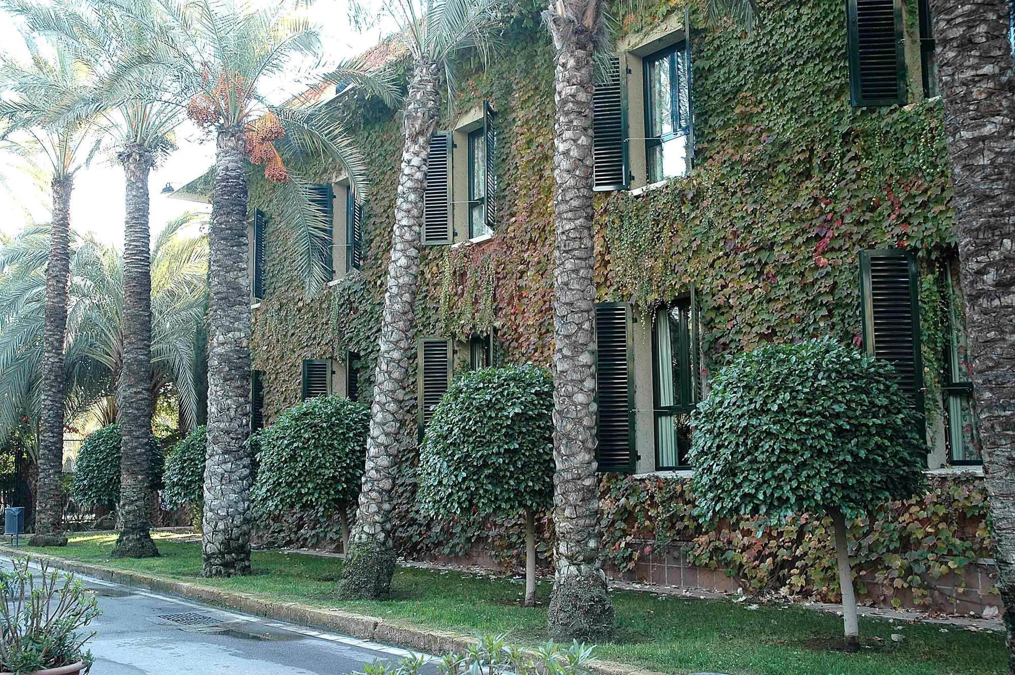 Hotel Jardín Milenio