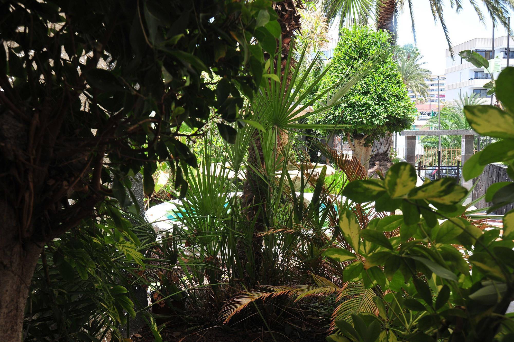 Apartment Tc Dorotea