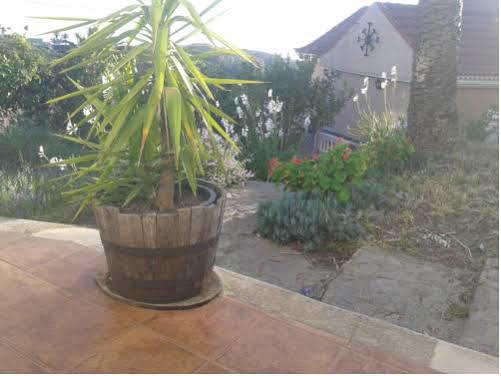 Casa rural Amparo Hayas Valle Gran Rey