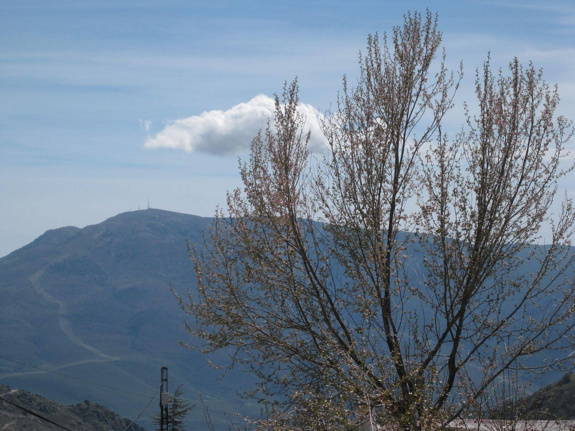 El Cascapenas De La Alpujarra *