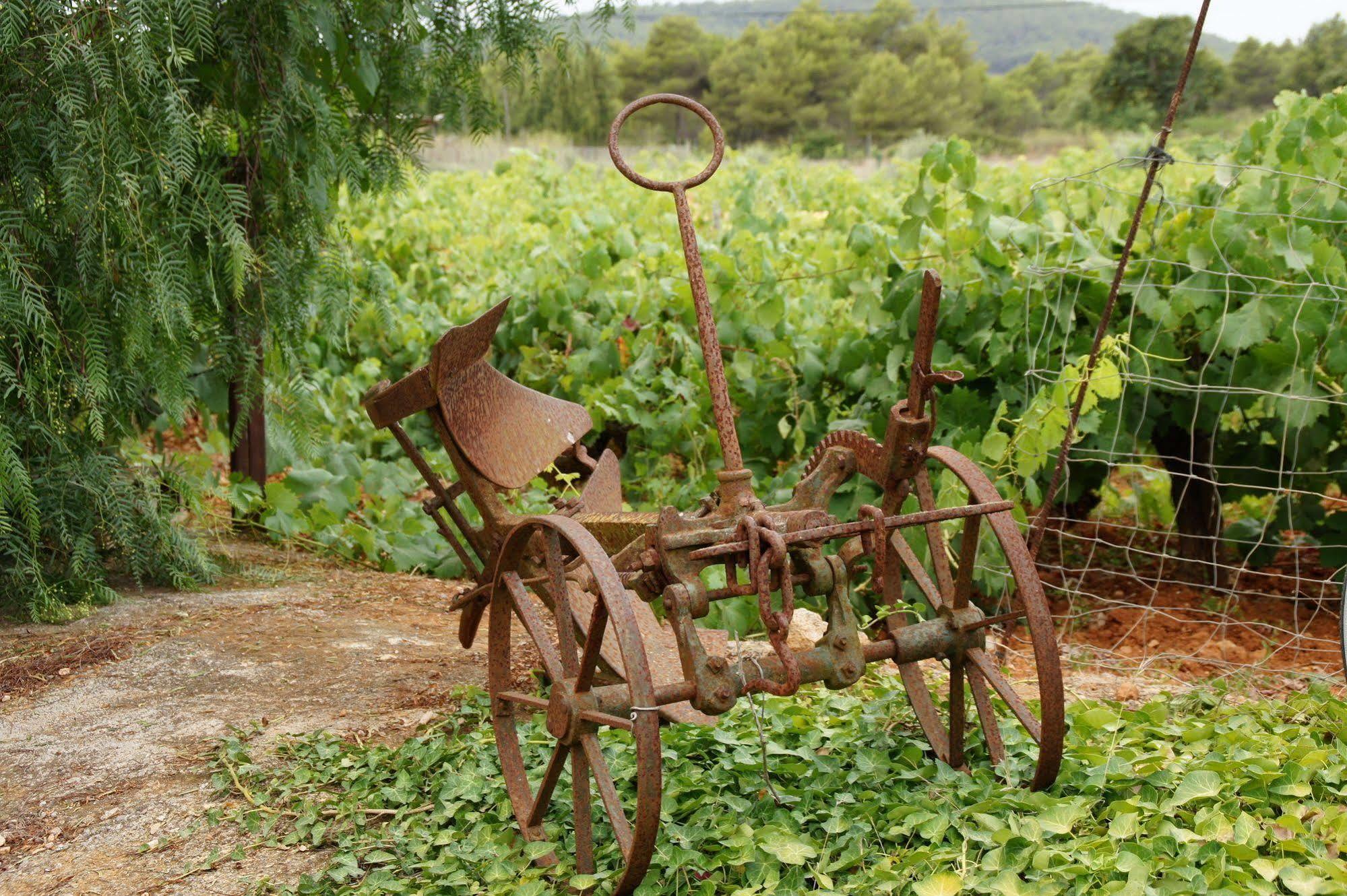 Sa Vinya D'en Palerm Agroturismo Sant Miquel de Balansat