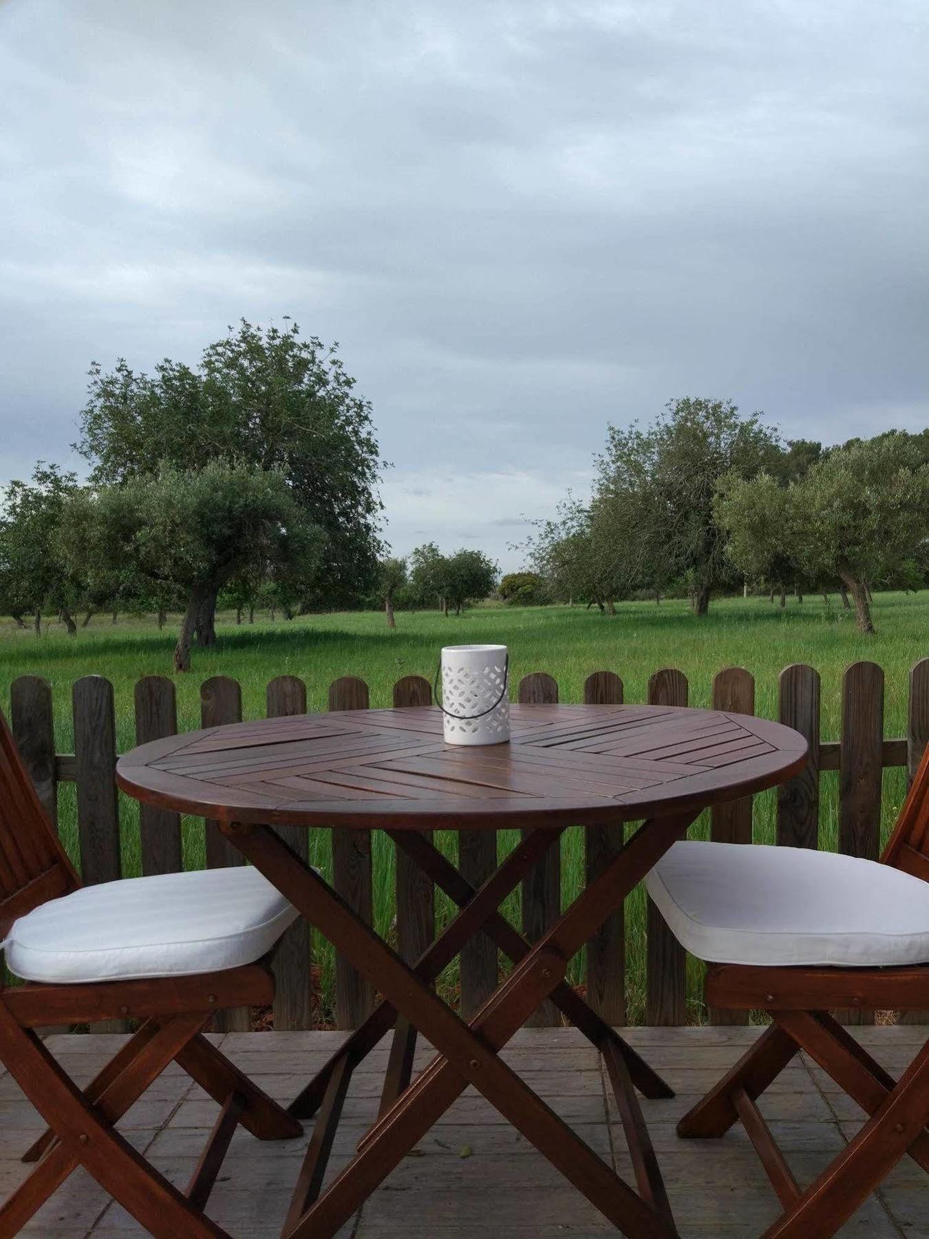 Sa Vinya D'en Palerm Agroturismo