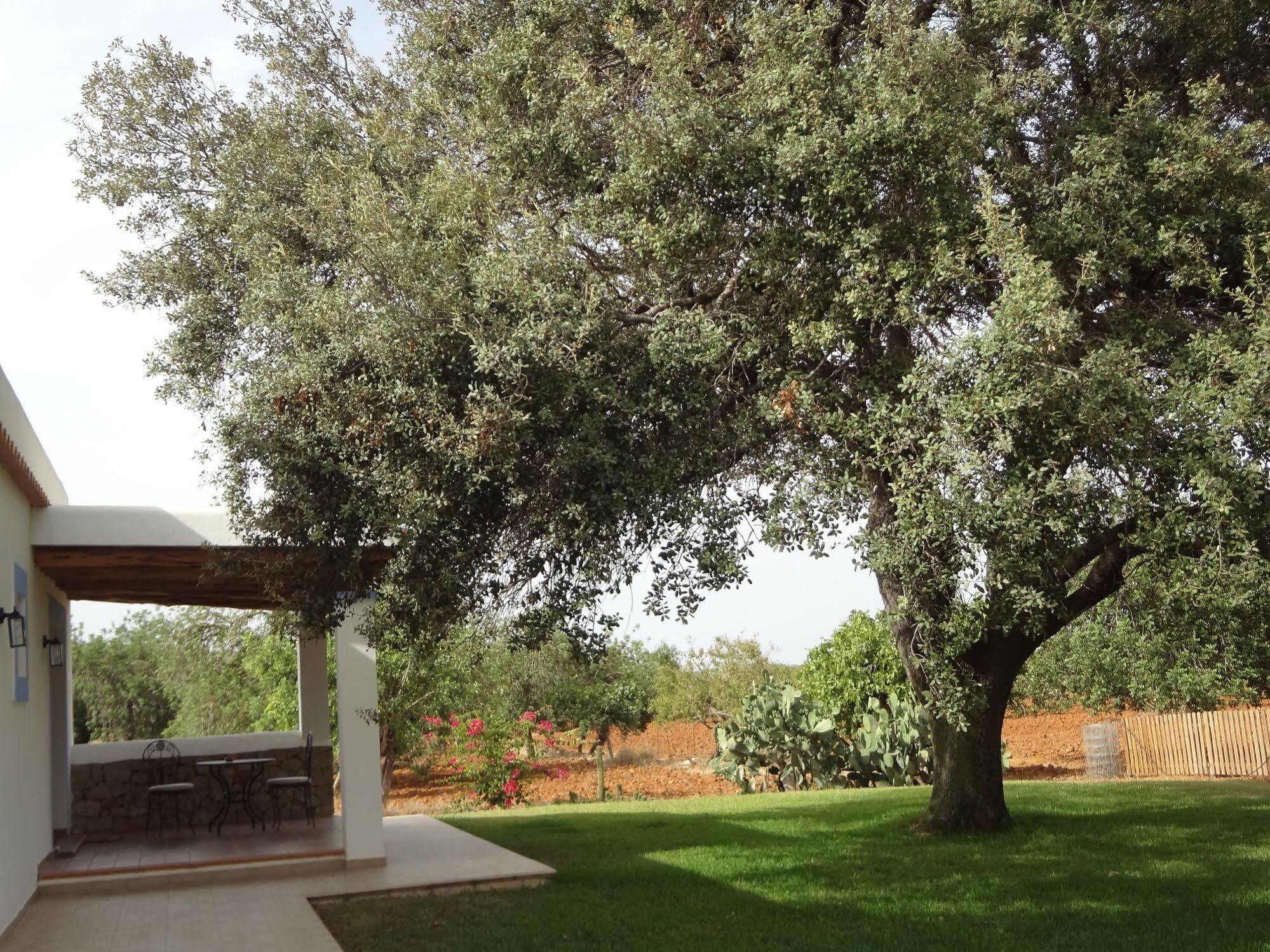 Sa Vinya D'en Palerm Agroturismo *