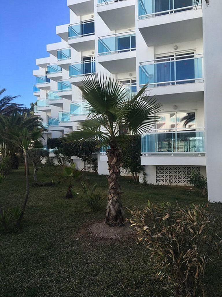 Nereida 3* San Antonio Abad