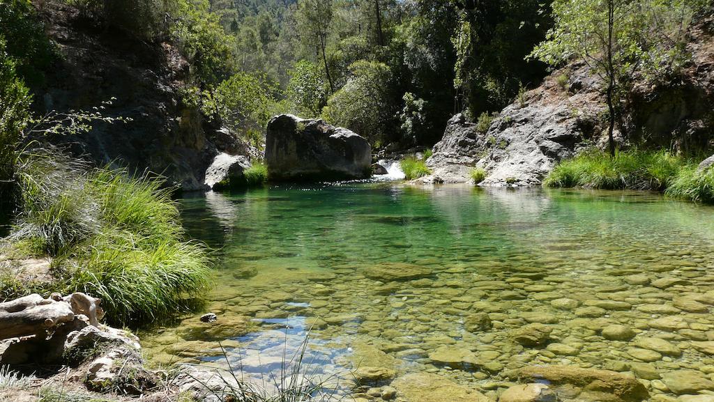 Rurales Campillo * Arroyo Frio