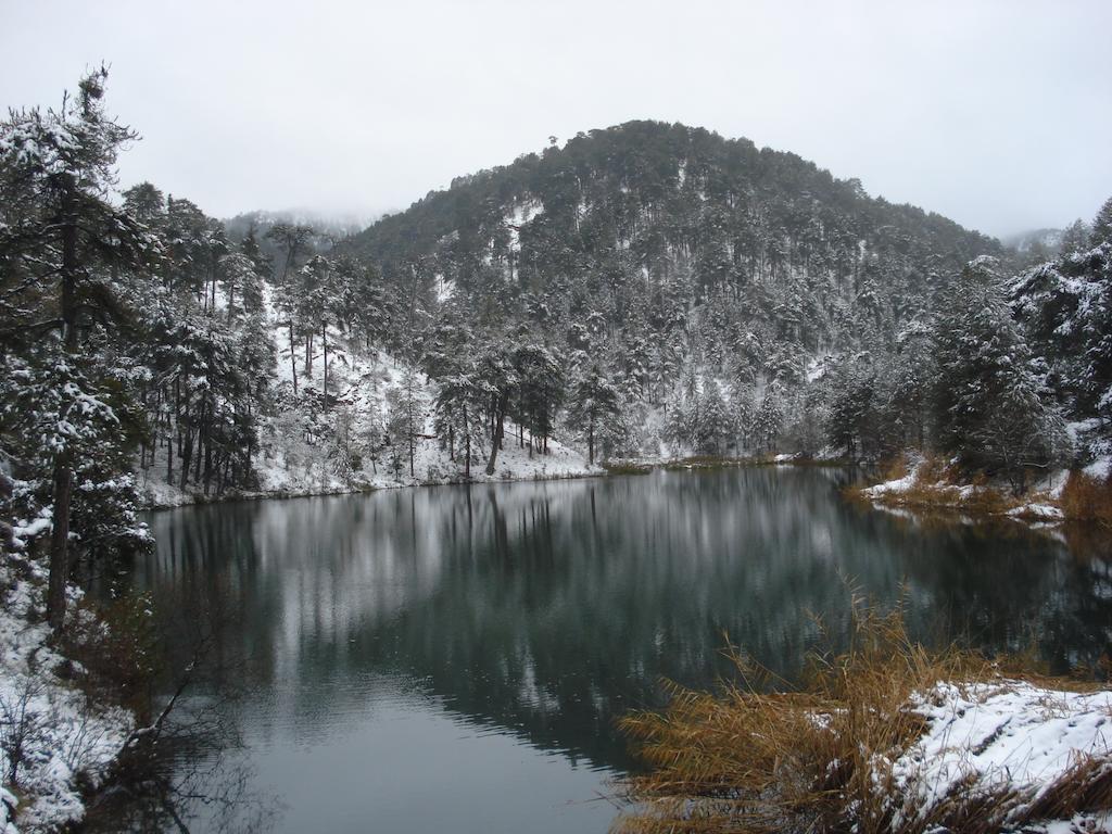 Rurales Campillo *
