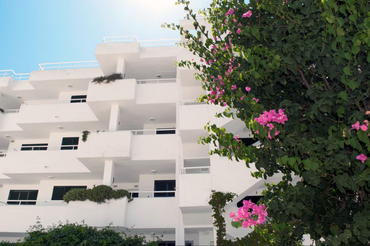 Camelina 3* San Antonio Abad