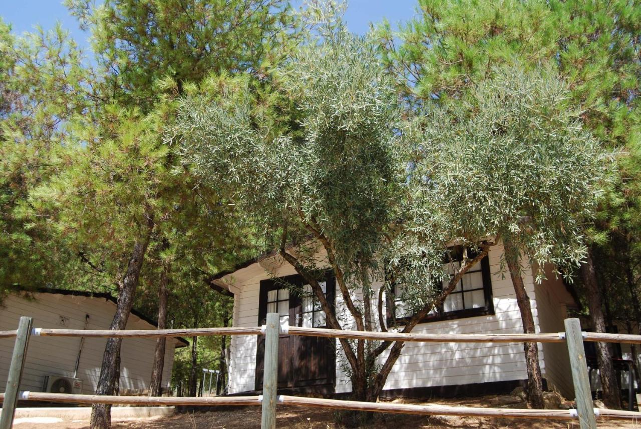 Campsite Valdearenas Iznajar