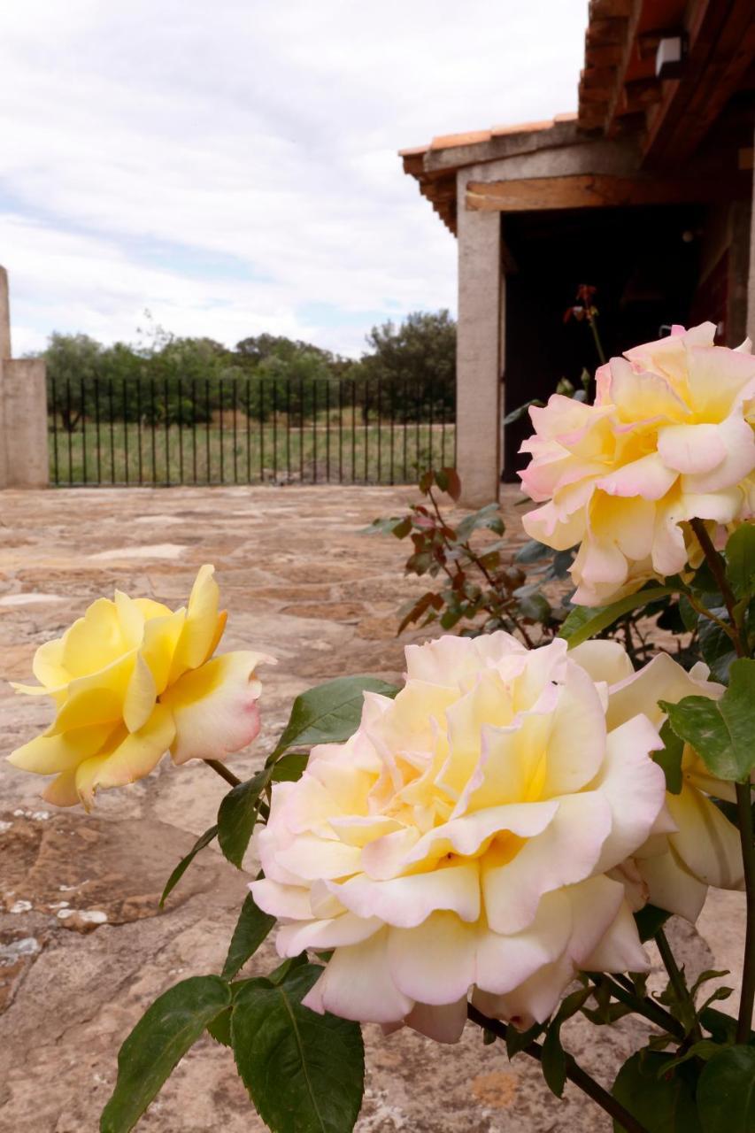 Mas De Sant Pau - Turistrat. Casa rural Albocácer