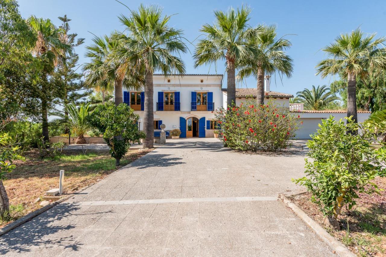 Finca Galiana *