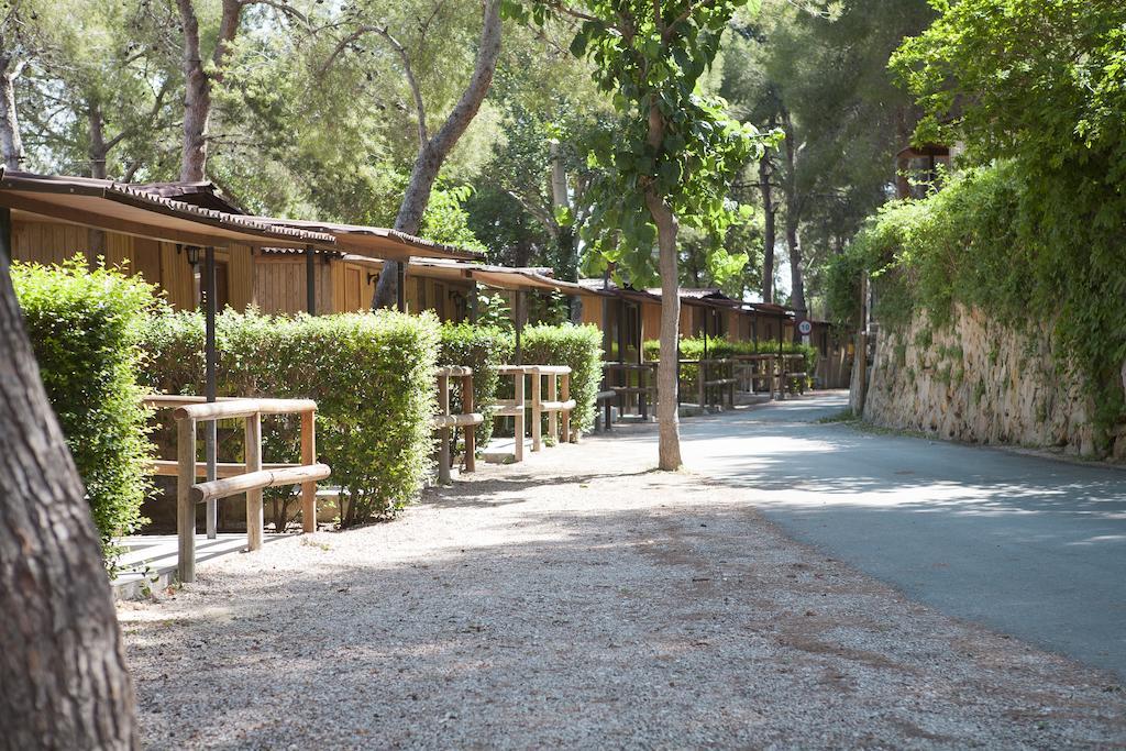 Caledonia Campsite Tamarit