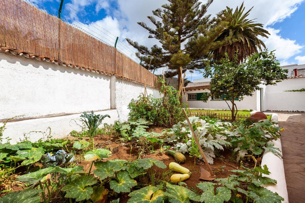 Hostel Patio (adults Only) La Laguna (Tenerife)