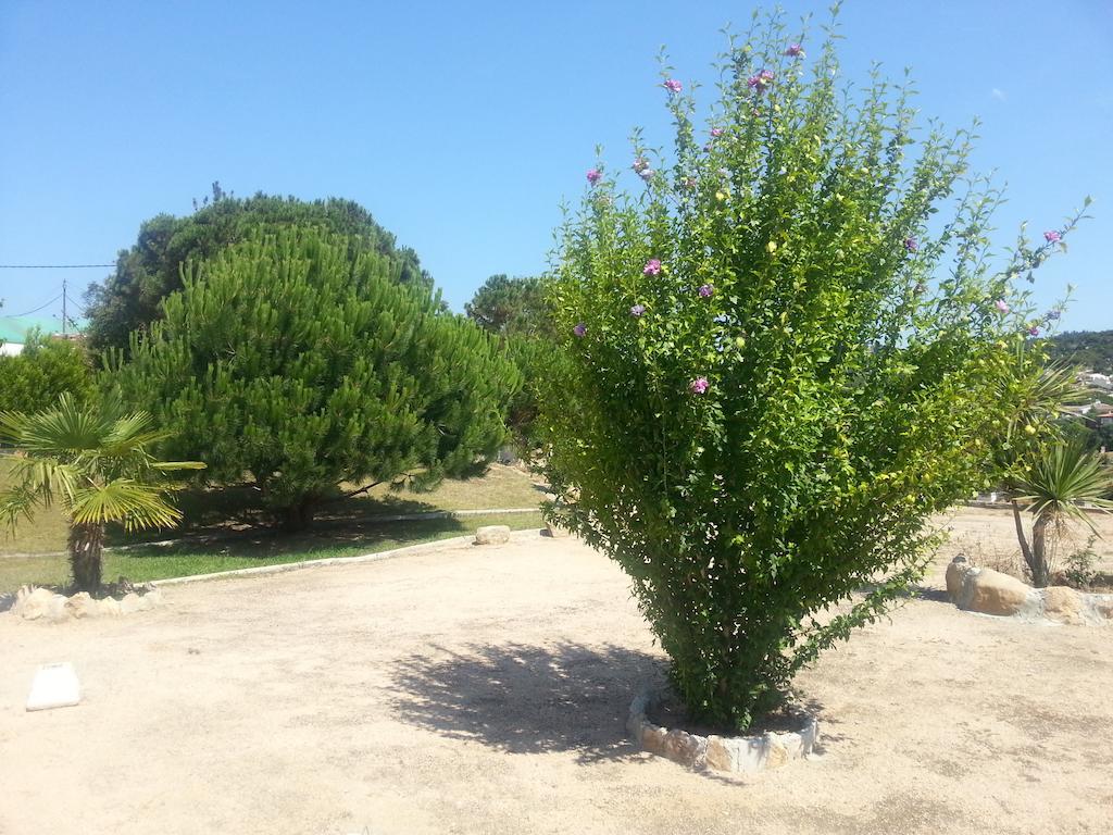 Pinares Lloret de Mar