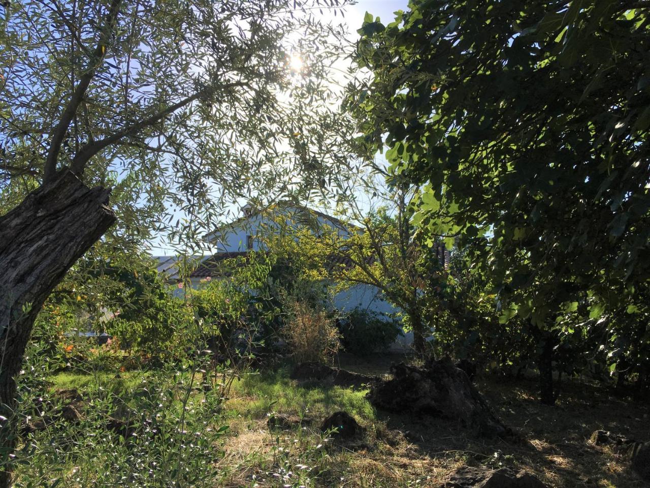 Horno De Cal Сasa de vacaciones Aracena
