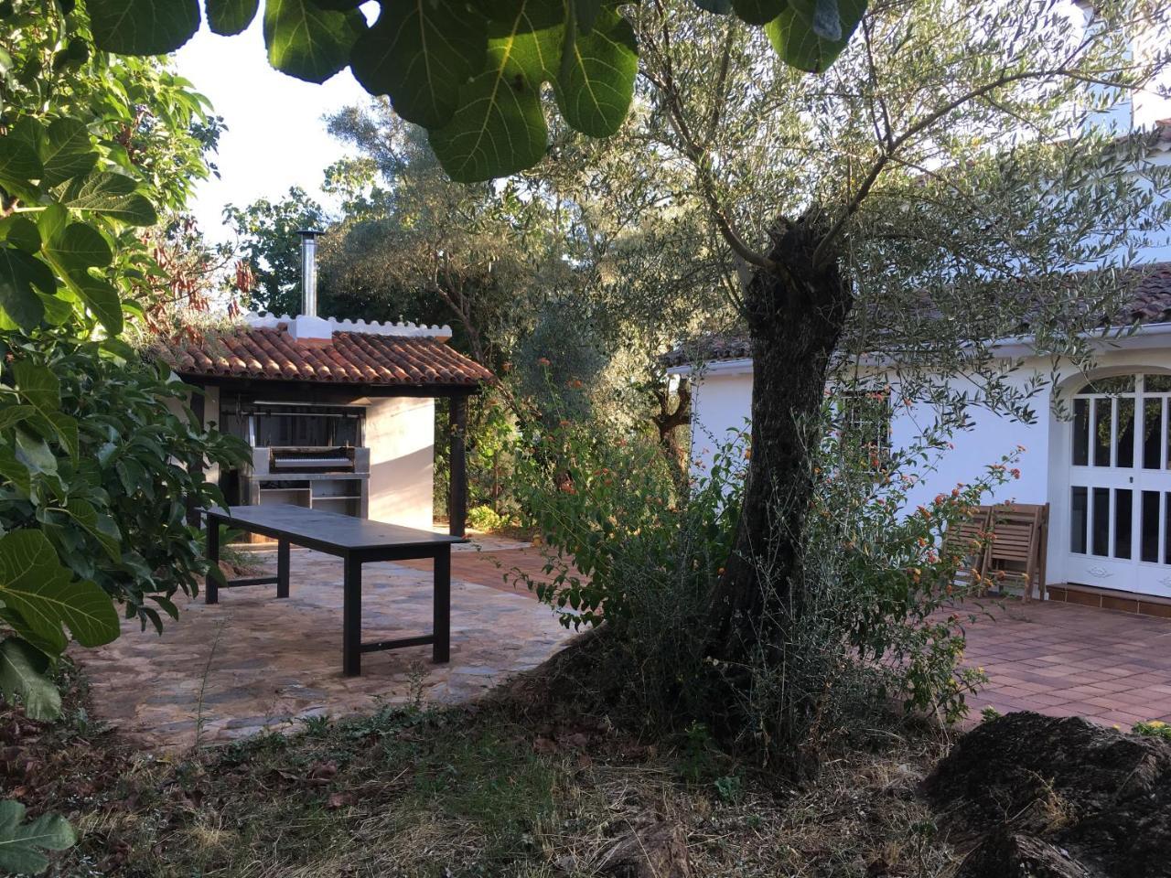 Horno De Cal Aracena
