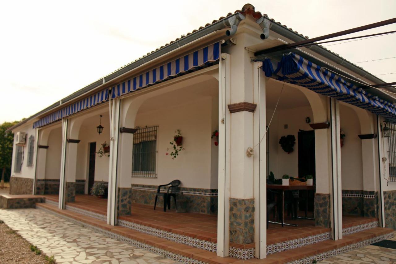 El Olmo Casa rural *