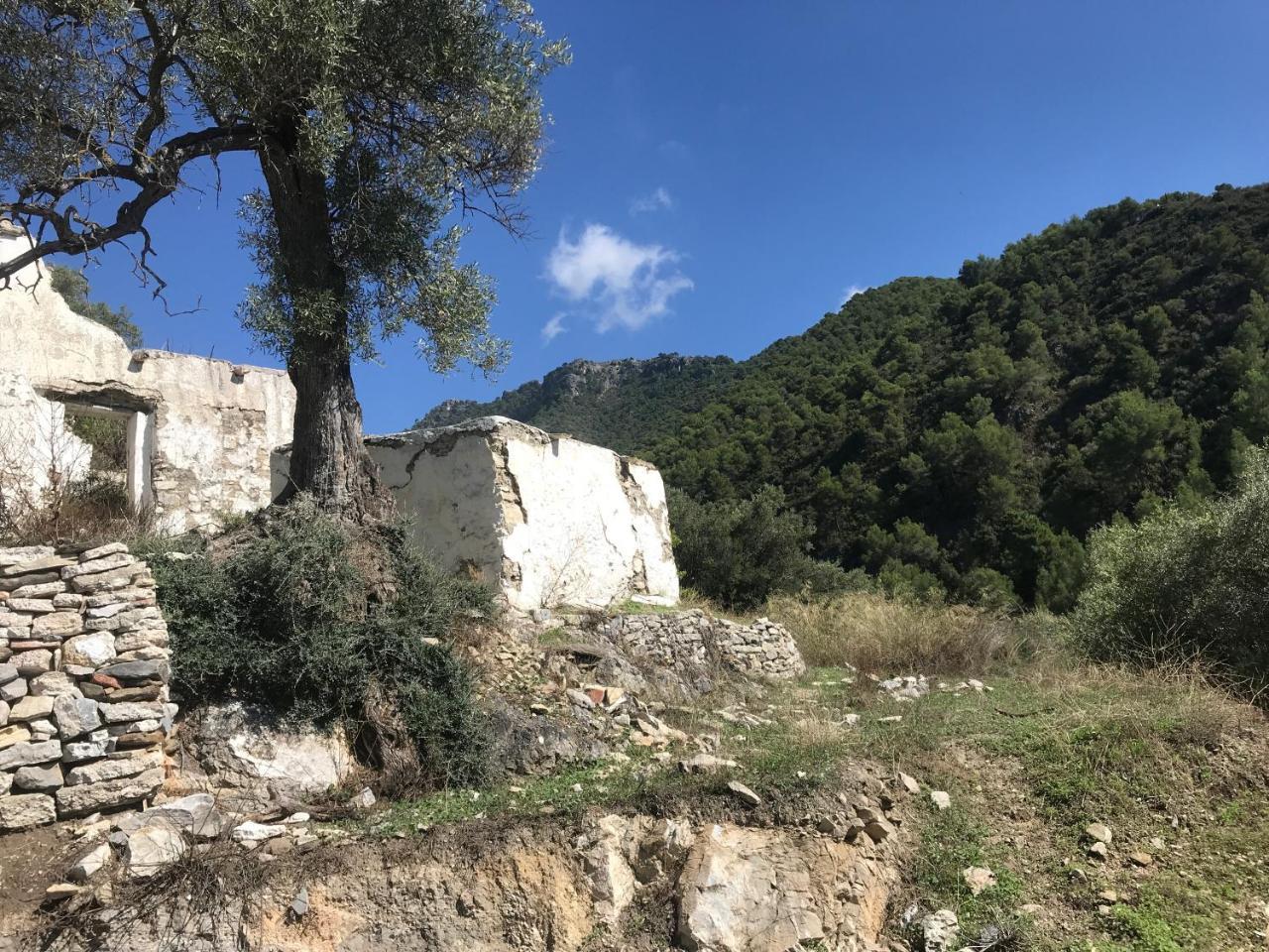 The Lost Village El Acebuchal Frigiliana
