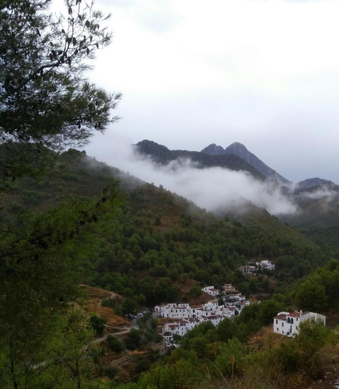 The Lost Village El Acebuchal Bed and breakfast