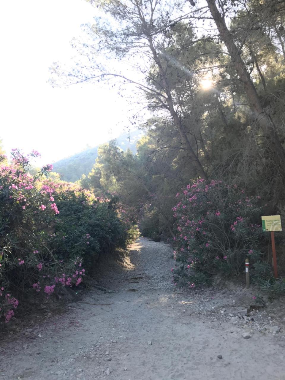 Bed and breakfast The Lost Village El Acebuchal