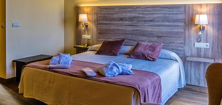 Hotel Balneari De