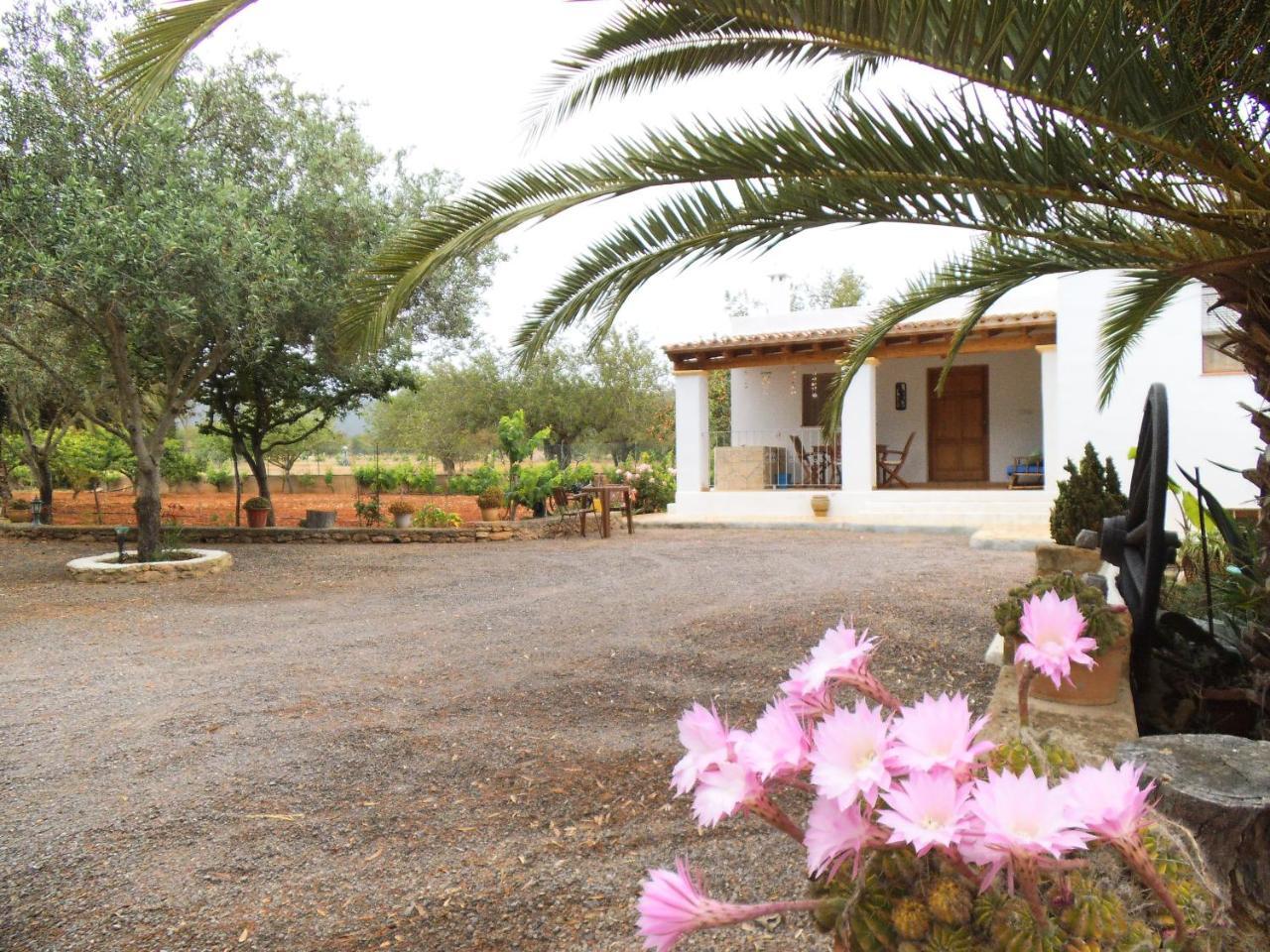 Turrent Villa Sant Carles de Peralta