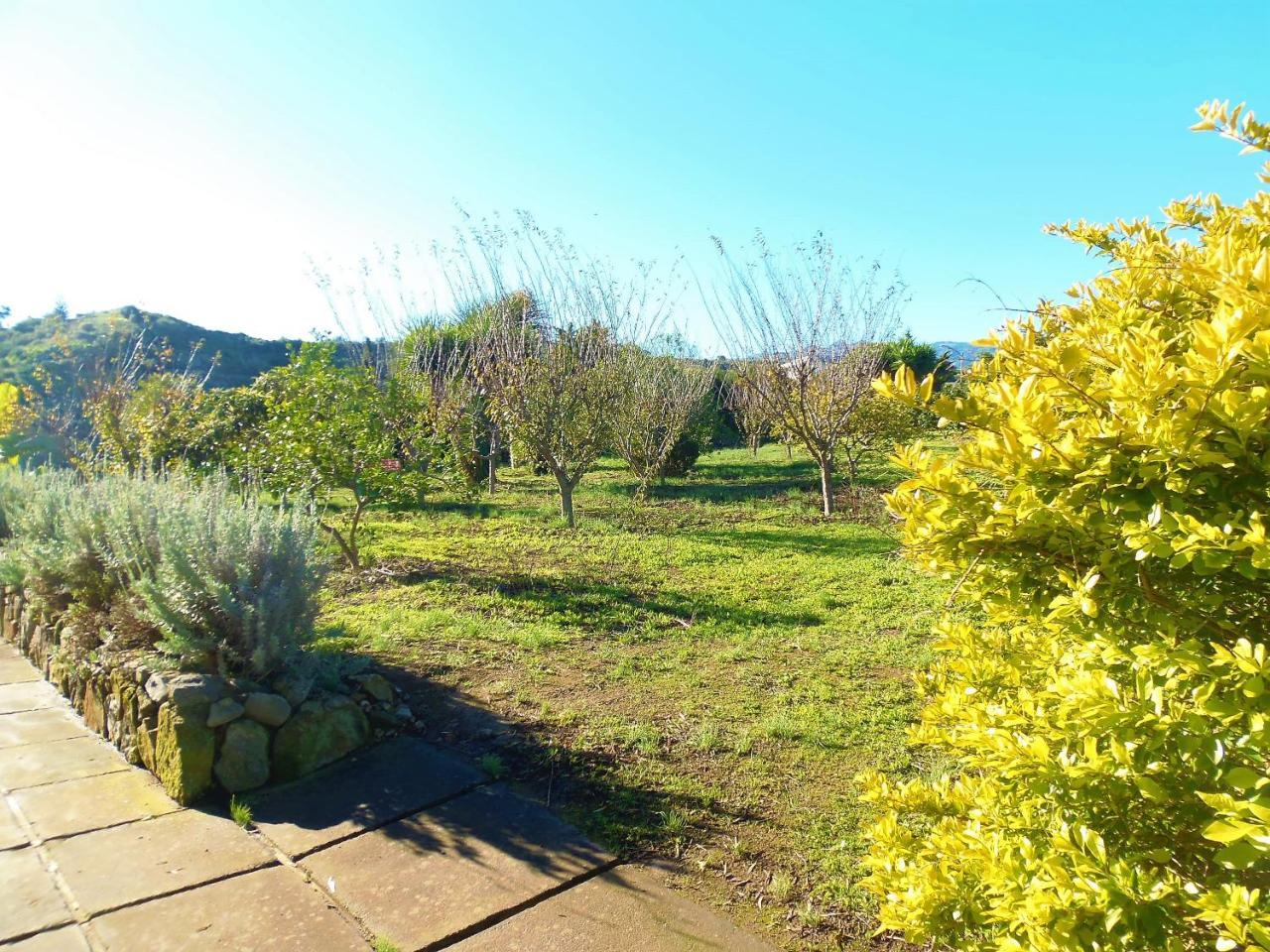 Casa rural Cachispita Teror