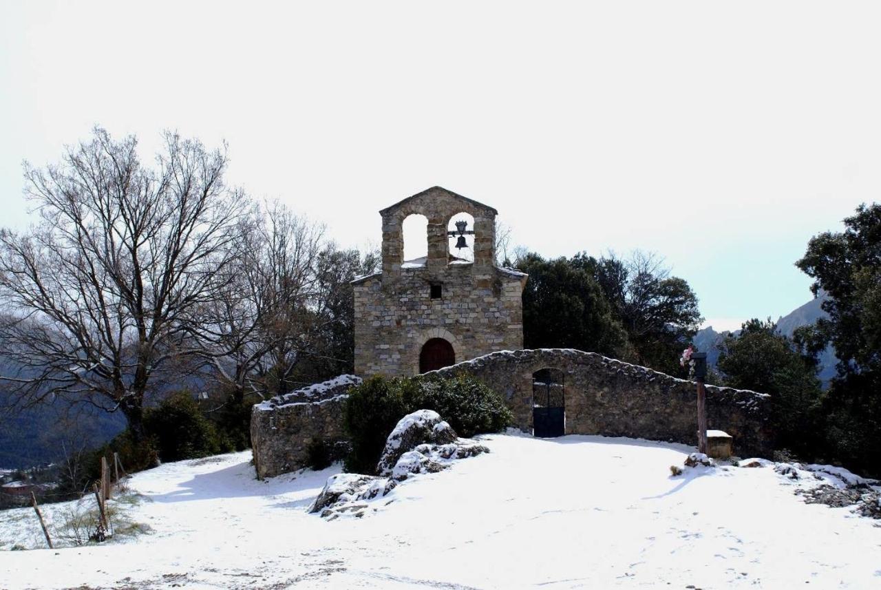 Piteus 2*