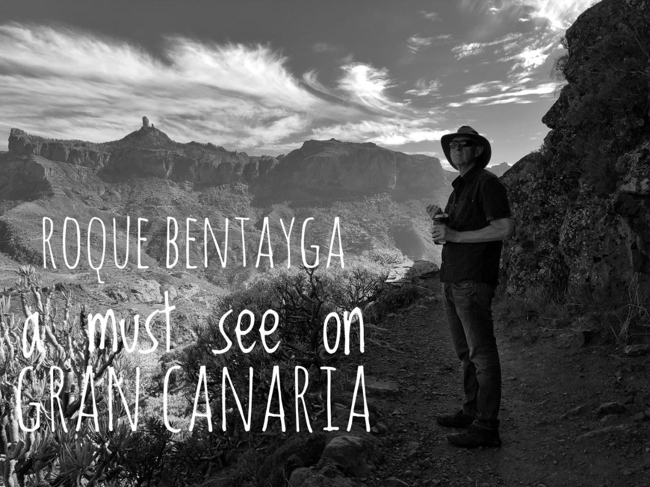 Casita Roque Nublo Holiday home *
