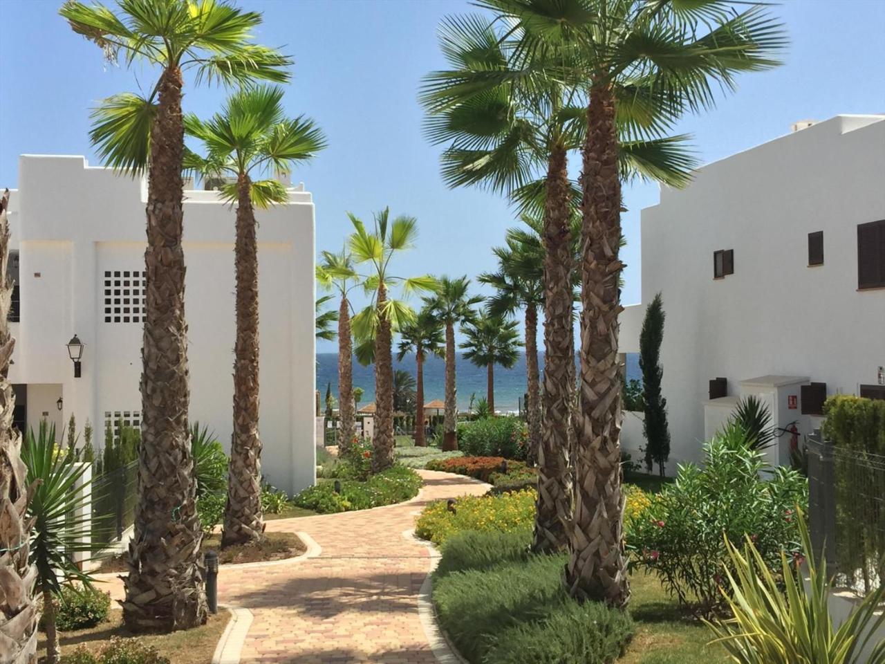 Kaki * San Juan de los Terreros