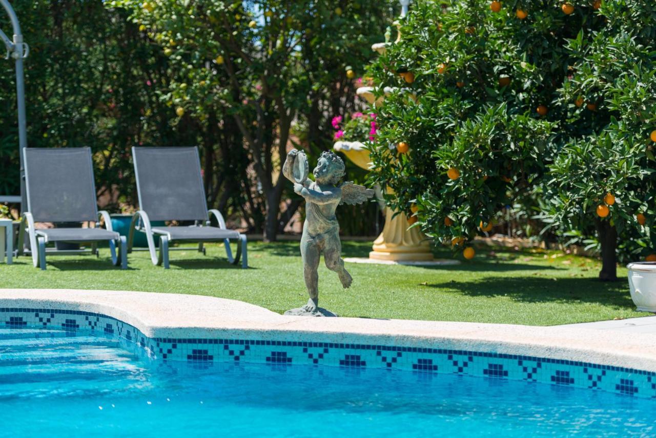 Casa Bruges Desinfeccion Certificada Y Delivery Villa El Campello