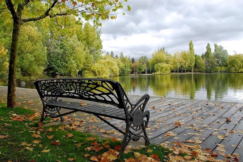 Apartamento Casa Con Jardin En Guils