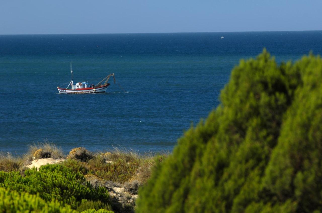 Leo (adults Only) Punta Umbria