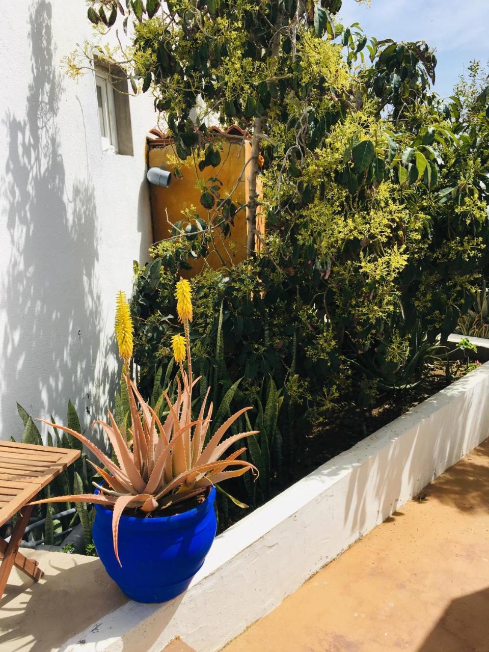Apartamento Marina La Caleta (El Hierro)