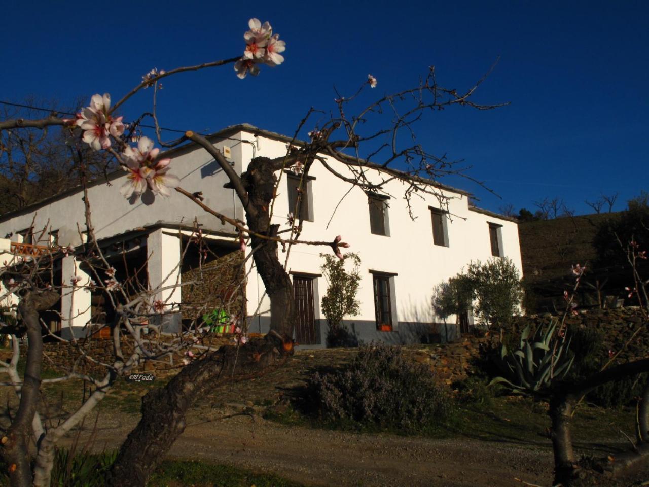 El Paraje De Lodge Berchules